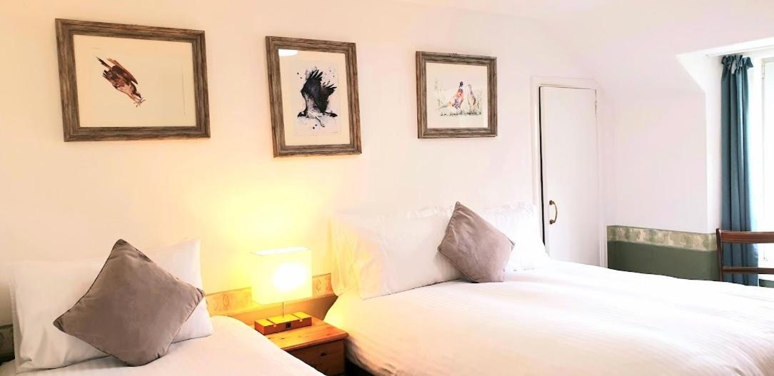 كينغروس The Osprey Hotel المظهر الخارجي الصورة